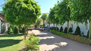 Hotel garden
