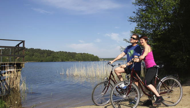 Explore the Mecklenburg lakes by bike