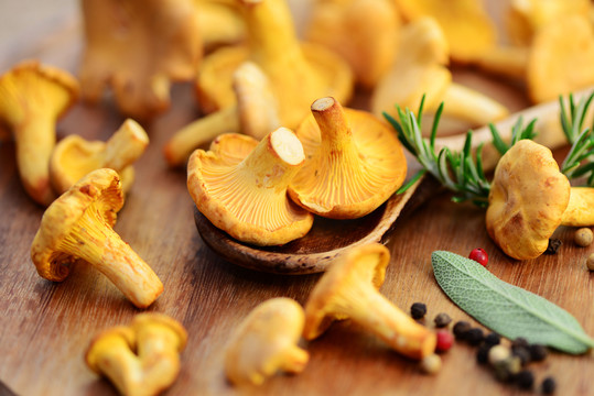 Chanterelle sceason